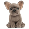 Catelus de plus Bulldog - imagine 2