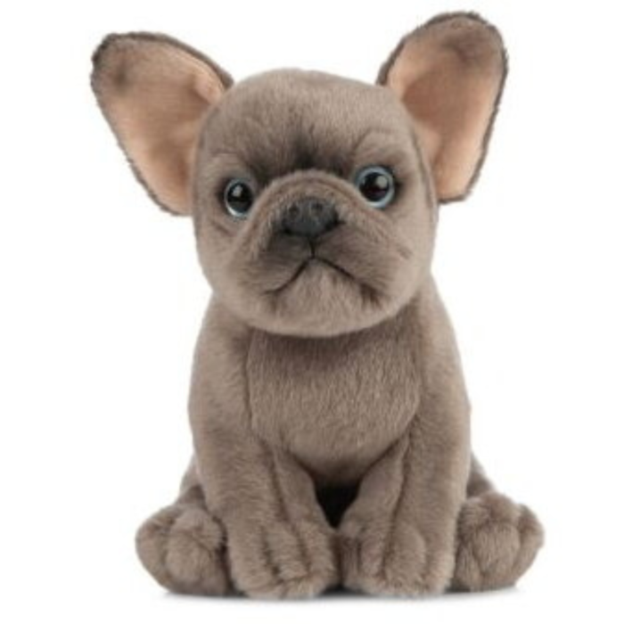Catelus de plus Bulldog - imagine 2